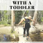 image of tips for traveling with a toddler