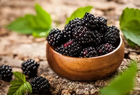 low sugar fruit - blackberries