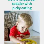 graphic of feeding therapy for picky eaters