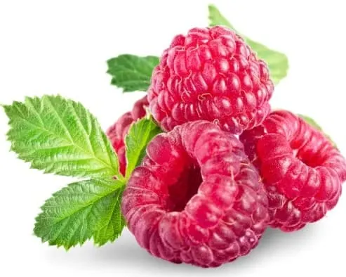 low sugar fruit - raspberry