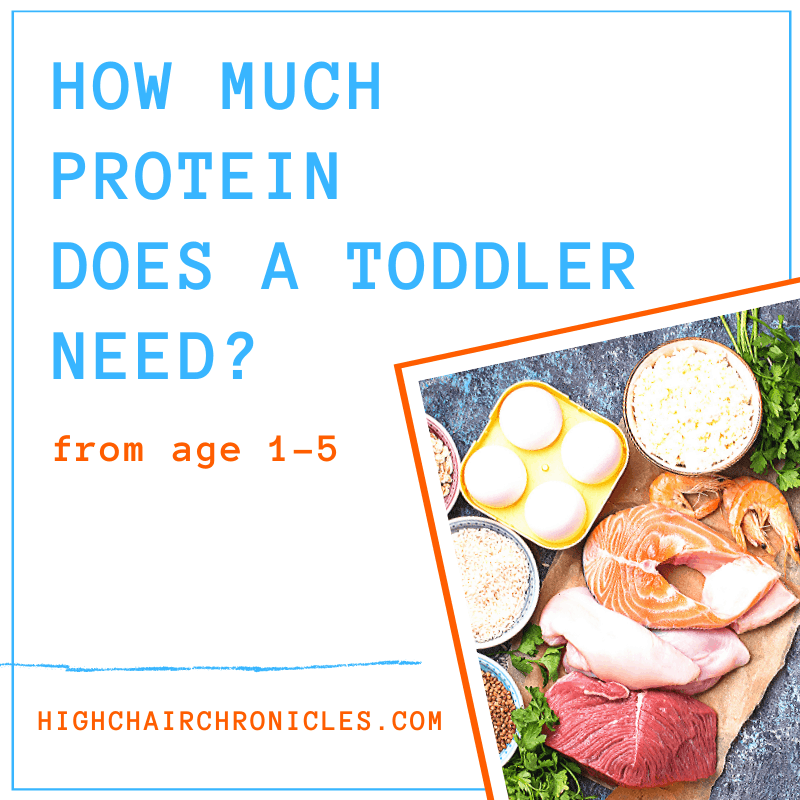 graphic for how much protein a toddler needs