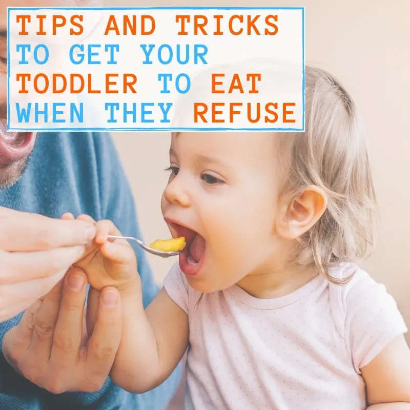 how to get a toddler to eat if they refuse - graphic