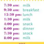 picky toddler eating schedule