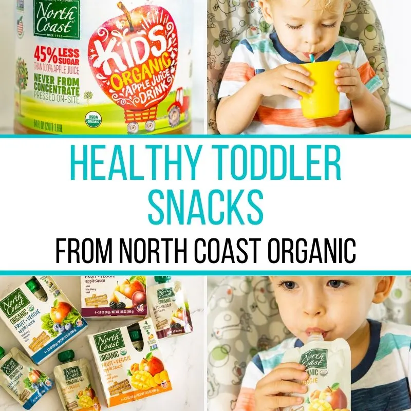 healthy toddler snack graphic