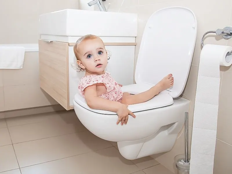 toddler fell into toilet