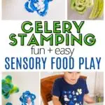 Pinnable image of sensory food play with celery stamping.